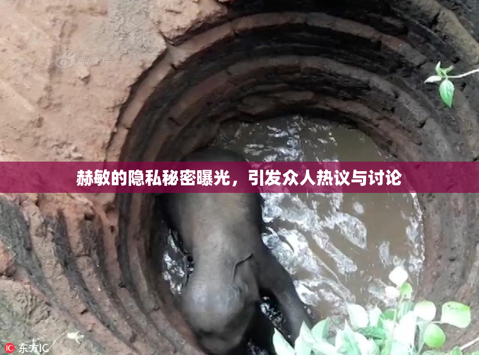 赫敏的隐私秘密曝光，引发众人热议与讨论