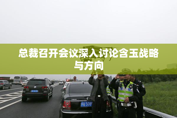 总裁召开会议深入讨论含玉战略与方向