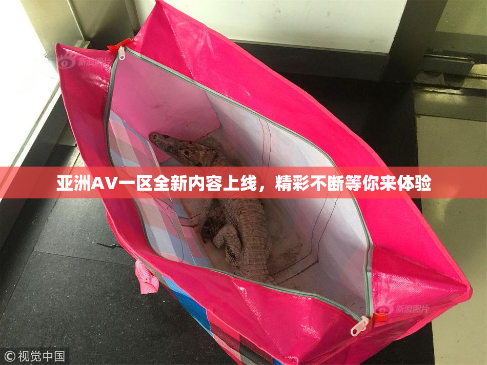 亚洲AV一区全新内容上线，精彩不断等你来体验