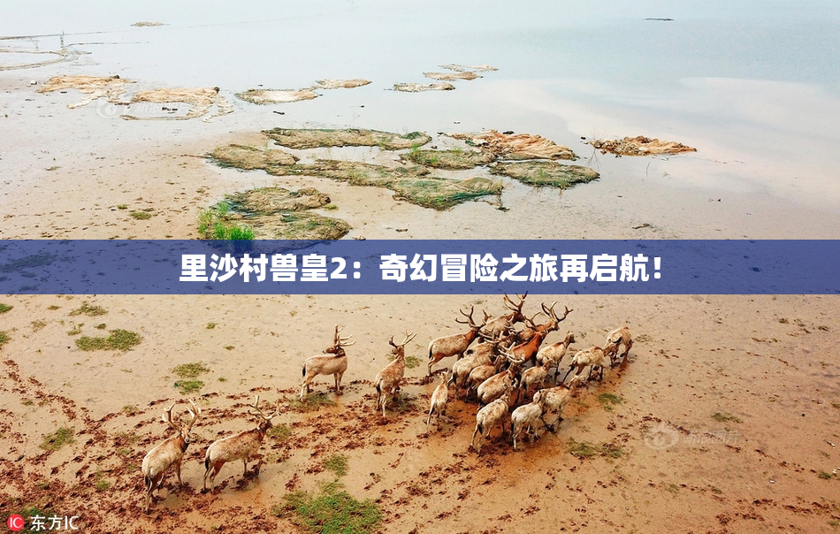 里沙村兽皇2：奇幻冒险之旅再启航！