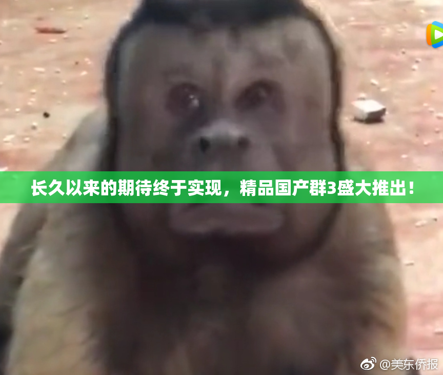 长久以来的期待终于实现，精品国产群3盛大推出！