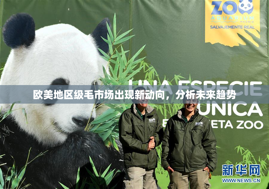 欧美地区级毛市场出现新动向，分析未来趋势