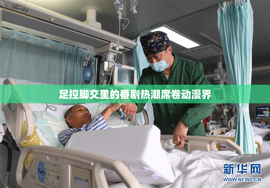 足控脚交里的番剧热潮席卷动漫界