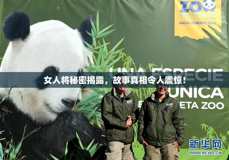 女人将秘密揭露，故事真相令人震惊！