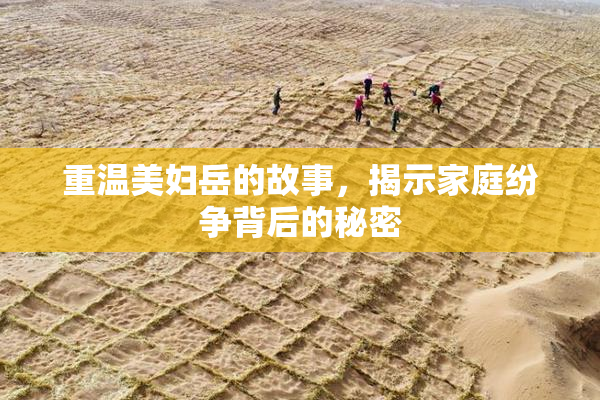 重温美妇岳的故事，揭示家庭纷争背后的秘密