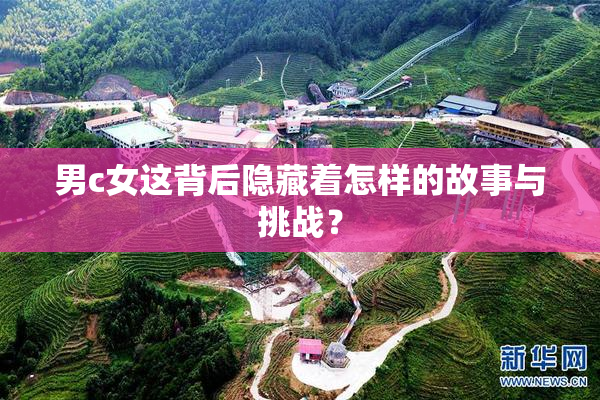 男c女这背后隐藏着怎样的故事与挑战？
