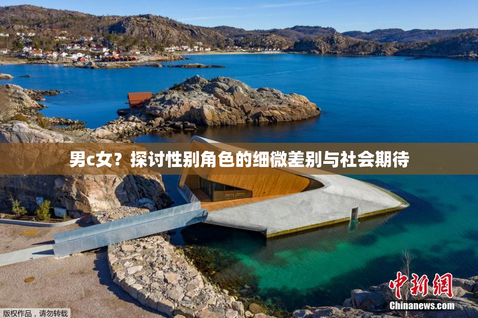 男c女？探讨性别角色的细微差别与社会期待