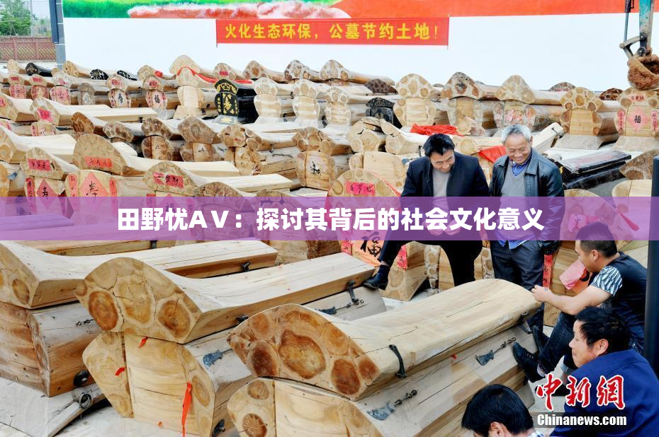 田野忧AⅤ：探讨其背后的社会文化意义
