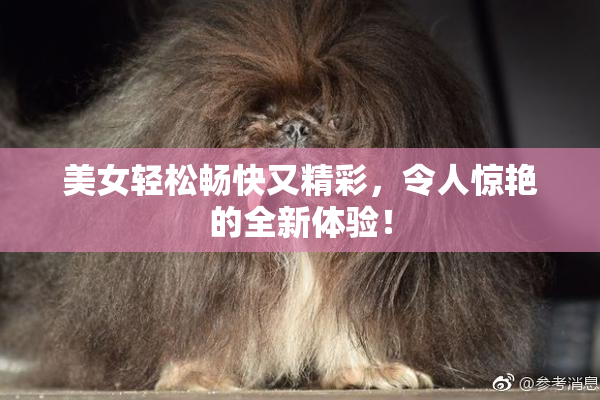 美女轻松畅快又精彩，令人惊艳的全新体验！