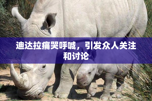 迪达拉痛哭呼喊，引发众人关注和讨论