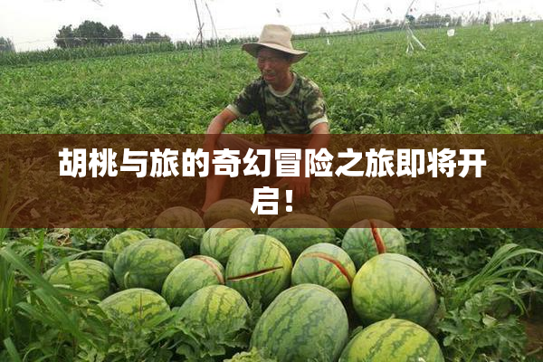 胡桃与旅的奇幻冒险之旅即将开启！