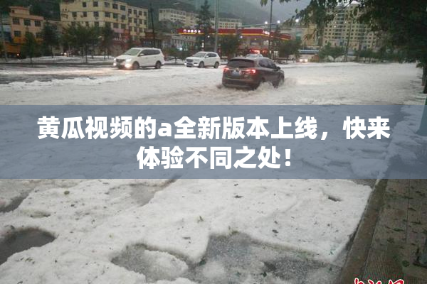 黄瓜视频的a全新版本上线，快来体验不同之处！