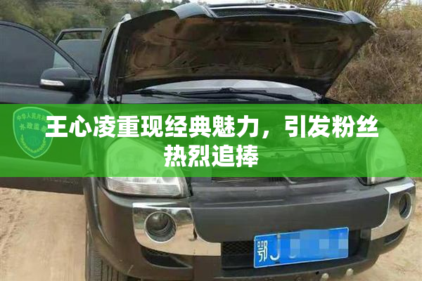 王心凌重现经典魅力，引发粉丝热烈追捧