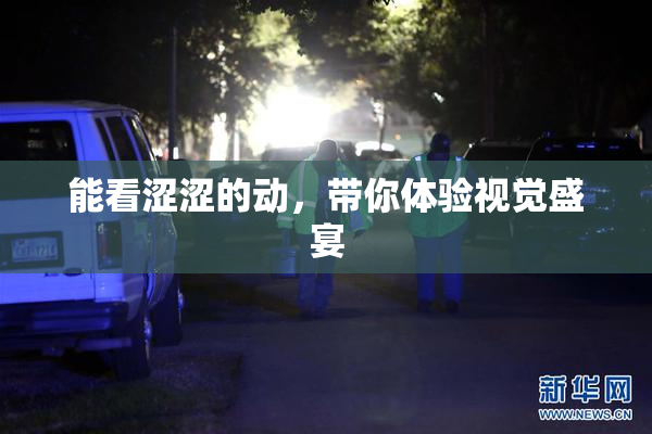 能看涩涩的动，带你体验视觉盛宴