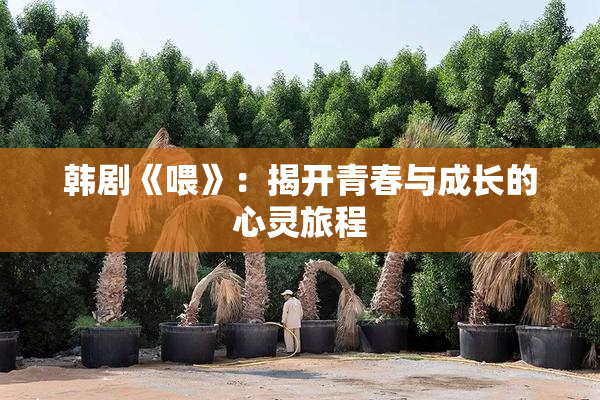 韩剧《喂》：揭开青春与成长的心灵旅程