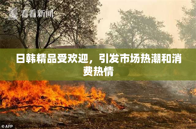 日韩精品受欢迎，引发市场热潮和消费热情