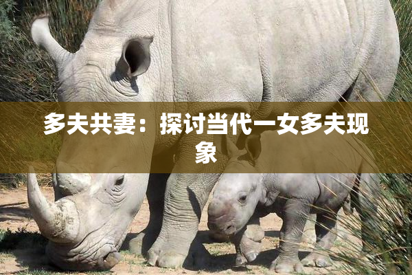 多夫共妻：探讨当代一女多夫现象