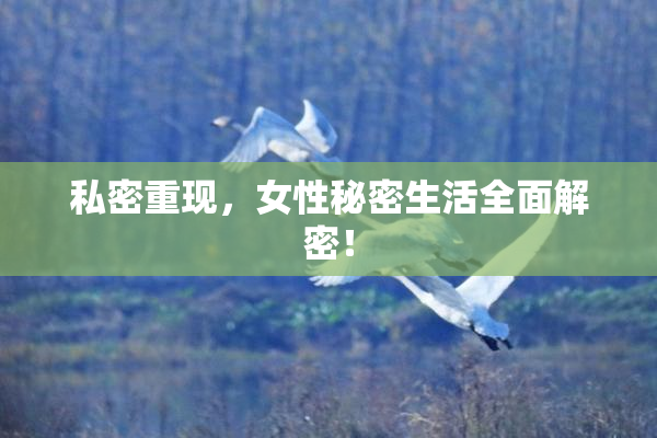 私密重现，女性秘密生活全面解密！