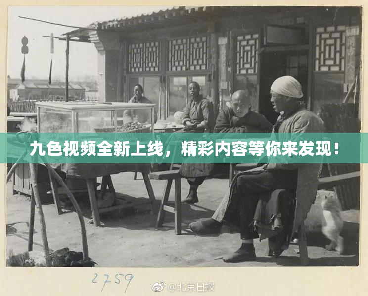 九色视频全新上线，精彩内容等你来发现！