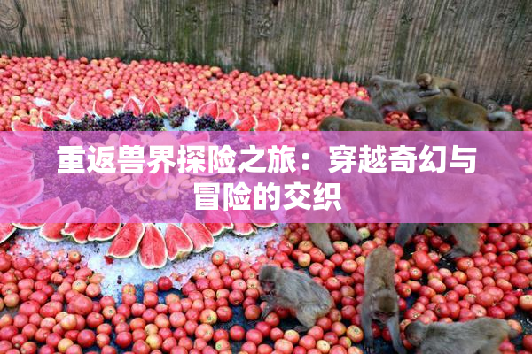 重返兽界探险之旅：穿越奇幻与冒险的交织