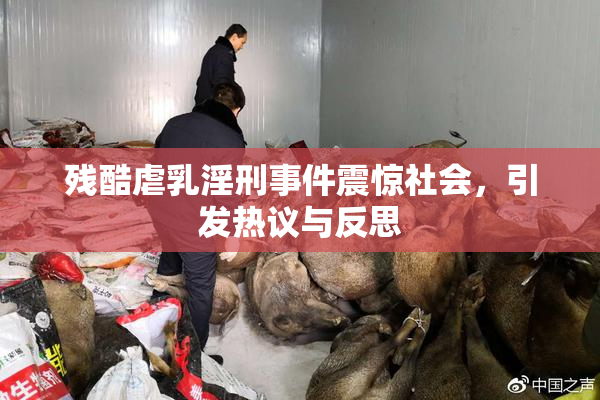 残酷虐乳淫刑事件震惊社会，引发热议与反思