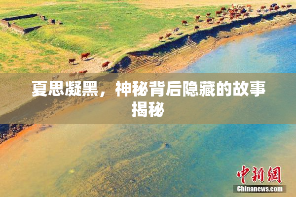 夏思凝黑，神秘背后隐藏的故事揭秘