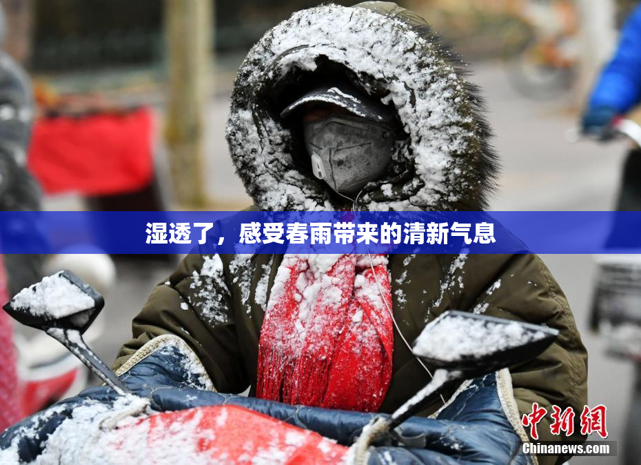 湿透了，感受春雨带来的清新气息