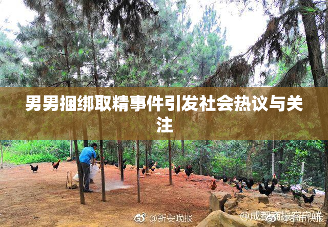 男男捆绑取精事件引发社会热议与关注