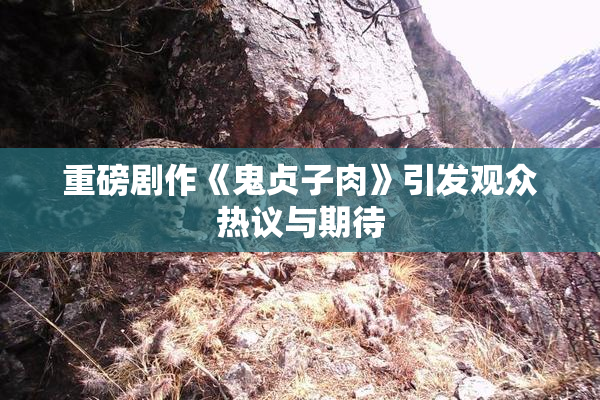 重磅剧作《鬼贞子肉》引发观众热议与期待