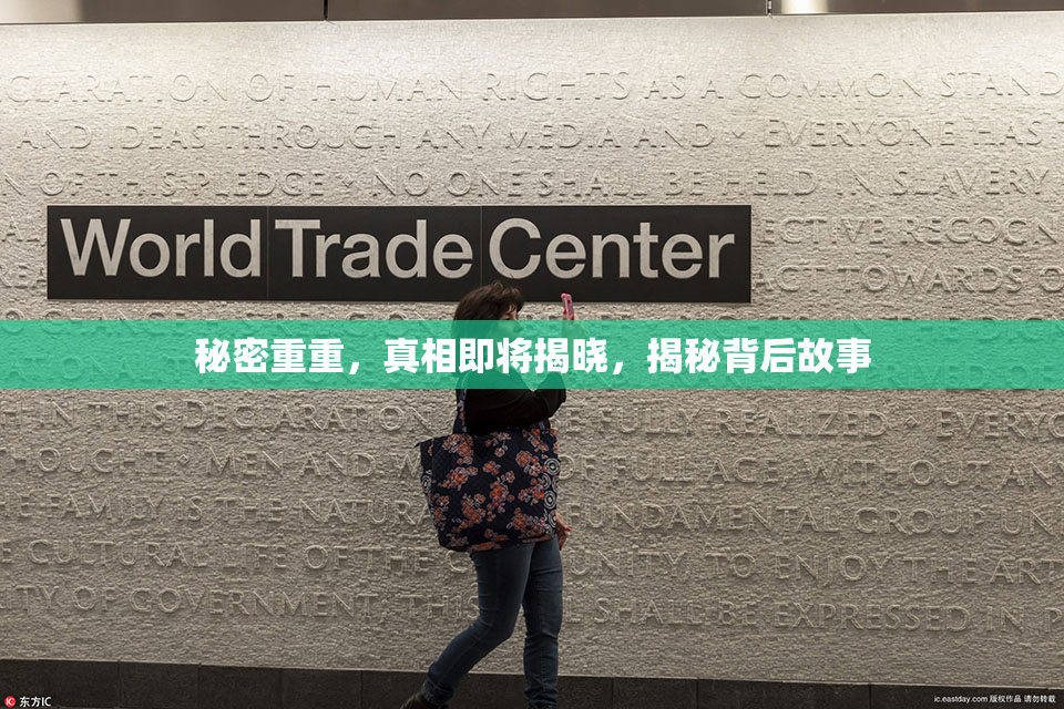 秘密重重，真相即将揭晓，揭秘背后故事