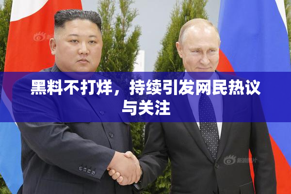 黑料不打烊，持续引发网民热议与关注
