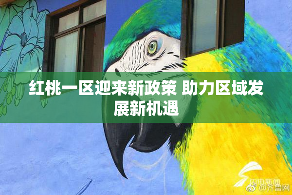 红桃一区迎来新政策 助力区域发展新机遇
