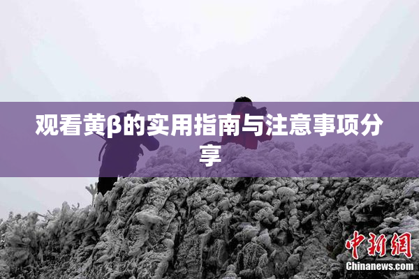 观看黄β的实用指南与注意事项分享