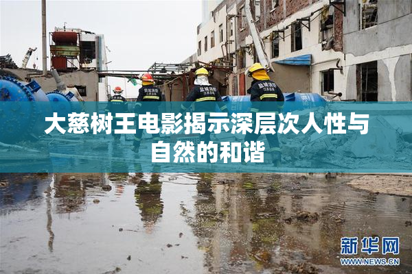 大慈树王电影揭示深层次人性与自然的和谐