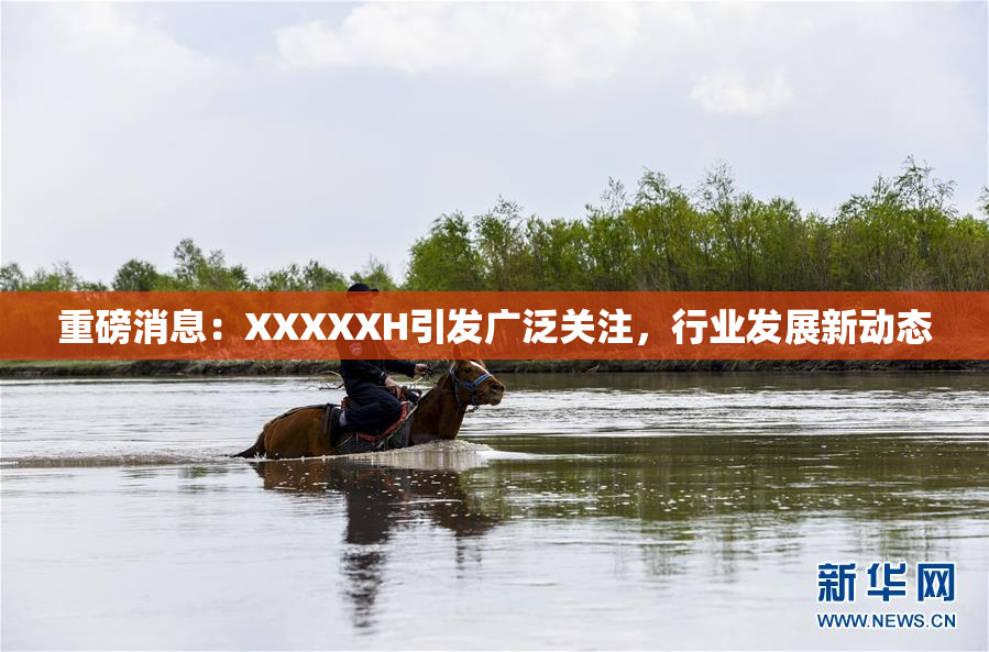 重磅消息：XXXXXH引发广泛关注，行业发展新动态