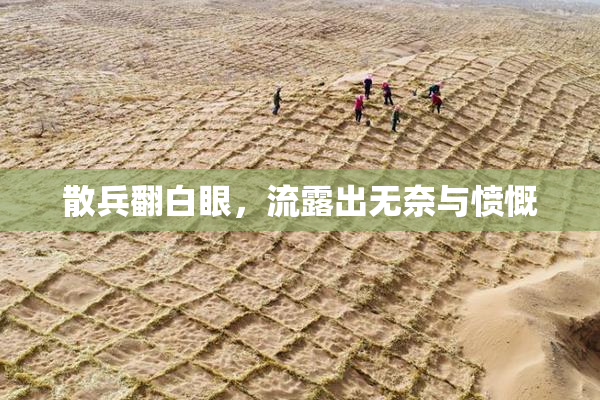 散兵翻白眼，流露出无奈与愤慨