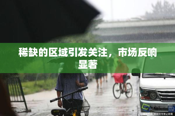 稀缺的区域引发关注，市场反响显著