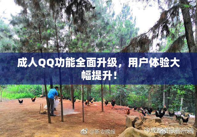 成人QQ功能全面升级，用户体验大幅提升！