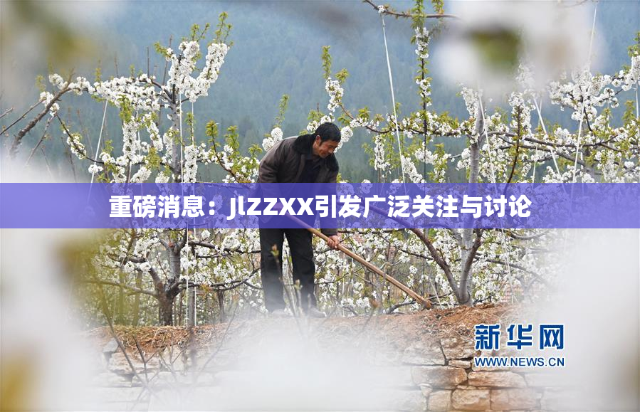 重磅消息：JlZZXX引发广泛关注与讨论