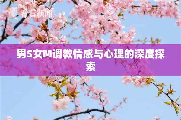 男S女M调教情感与心理的深度探索