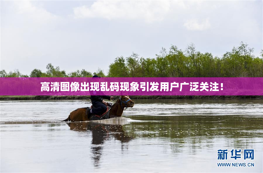 高清图像出现乱码现象引发用户广泛关注！
