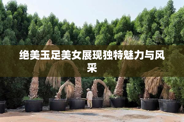 绝美玉足美女展现独特魅力与风采