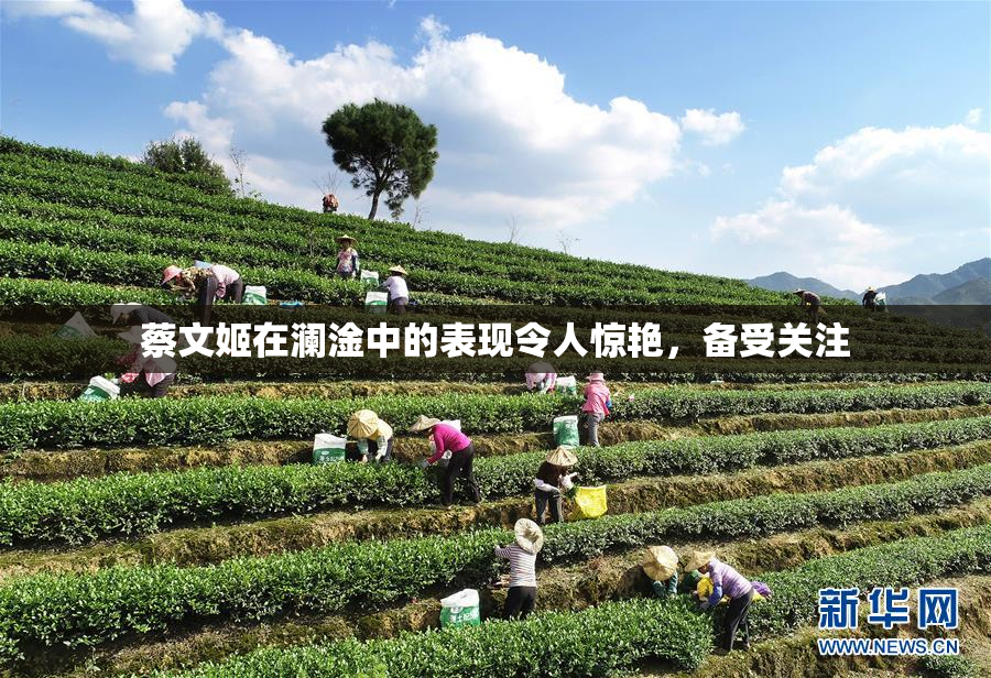 蔡文姬在澜淦中的表现令人惊艳，备受关注