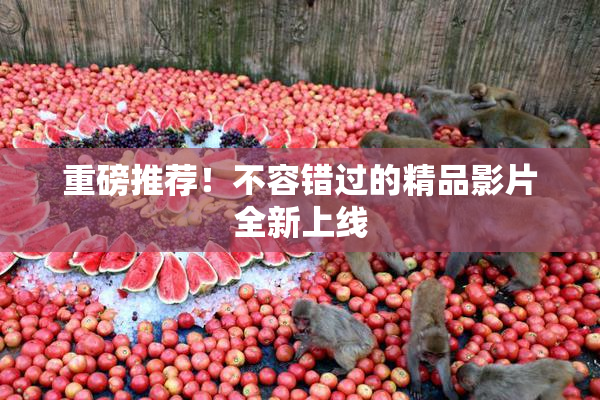 重磅推荐！不容错过的精品影片全新上线