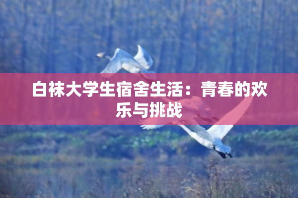 白袜大学生宿舍生活：青春的欢乐与挑战