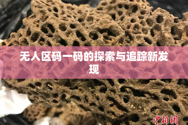无人区码一码的探索与追踪新发现