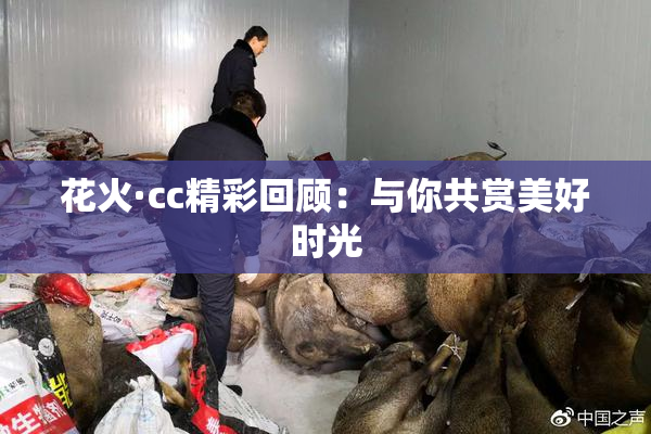 花火·cc精彩回顾：与你共赏美好时光