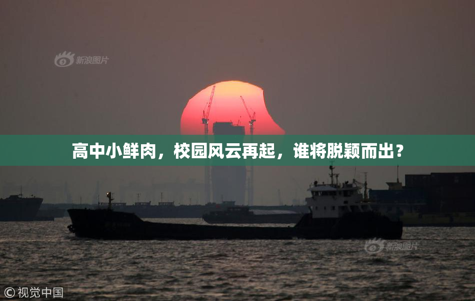 高中小鲜肉，校园风云再起，谁将脱颖而出？