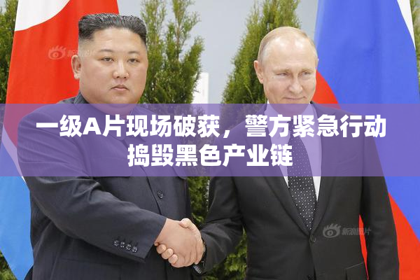 一级A片现场破获，警方紧急行动捣毁黑色产业链