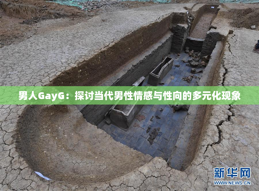 男人GayG：探讨当代男性情感与性向的多元化现象